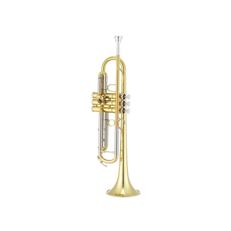 JUPITER ITALIA JTR1100Q - vaiconlasigla