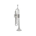 JUPITER ITALIA JTR1110RSQ - vai con la sigla