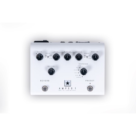 BLACKSTAR DEPT. 10 AMPED 1 - vai con la sigla