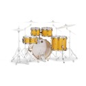 MAPEX IT MA529SFYD MARS BIRCH ROCK 5 PEZZI SUNFLOWER SPARKLE - vai con la sigla