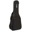 PROEL DHBAGB - ARMOR - BASIC SERIES - per chitarra Acustica/Folk - vai con la sigla