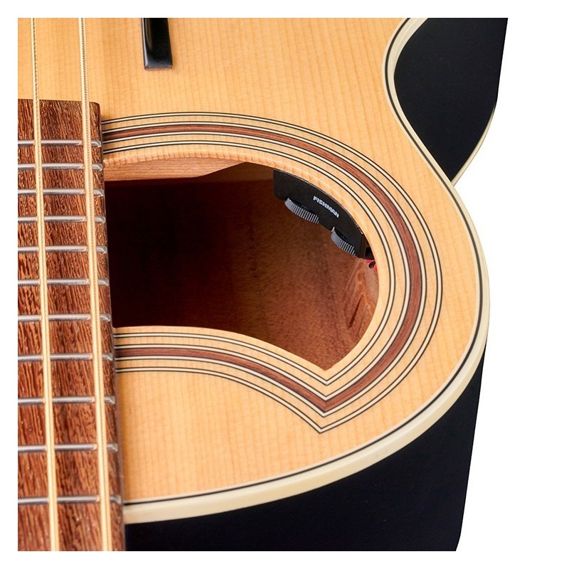 WARWICK Alien Standard 4 Natural Satin, basso acustico - vaiconlasigla