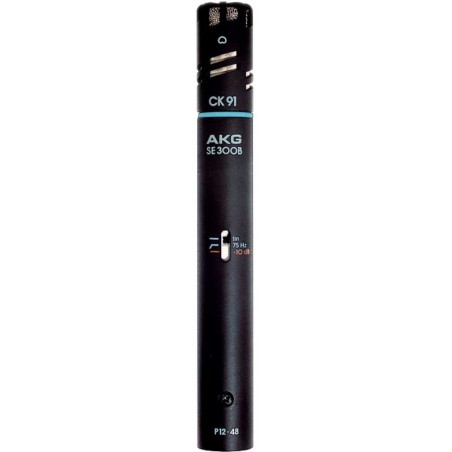 AKG C391 B