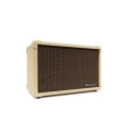 BLACKSTAR ACOUSTIC CORE 30