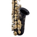 JUPITER ITALIA JAS1100GOQ GLIDED ONYX