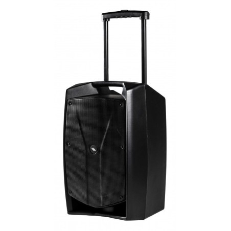 PROEL V12WAVE cassa attiva 12" - vaiconlasigla