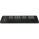 KORG - NANOKEY2-BK - vai con la sigla