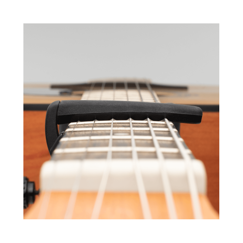 D'Addario PW-CP-19S, Capotasto Pro Plus, argento - vai con la sigla