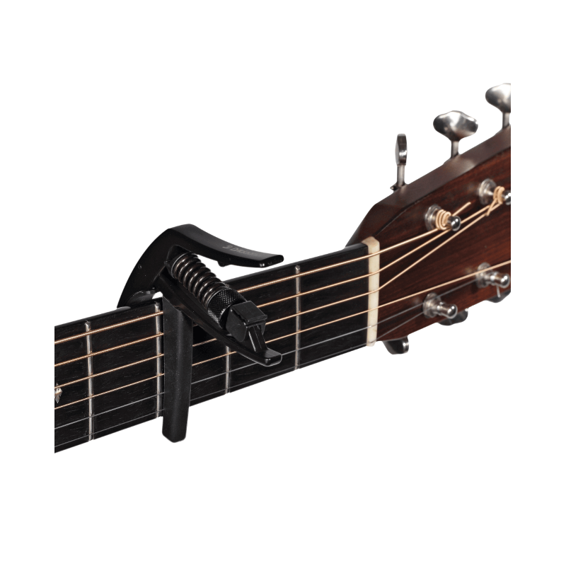 D'Addario PW-CP-10,capotasto Artist - vai con la sigla