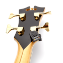 D'ADDARIO PW-CT-12, Accordatore a paletta Planer Waves - vai con la sigla