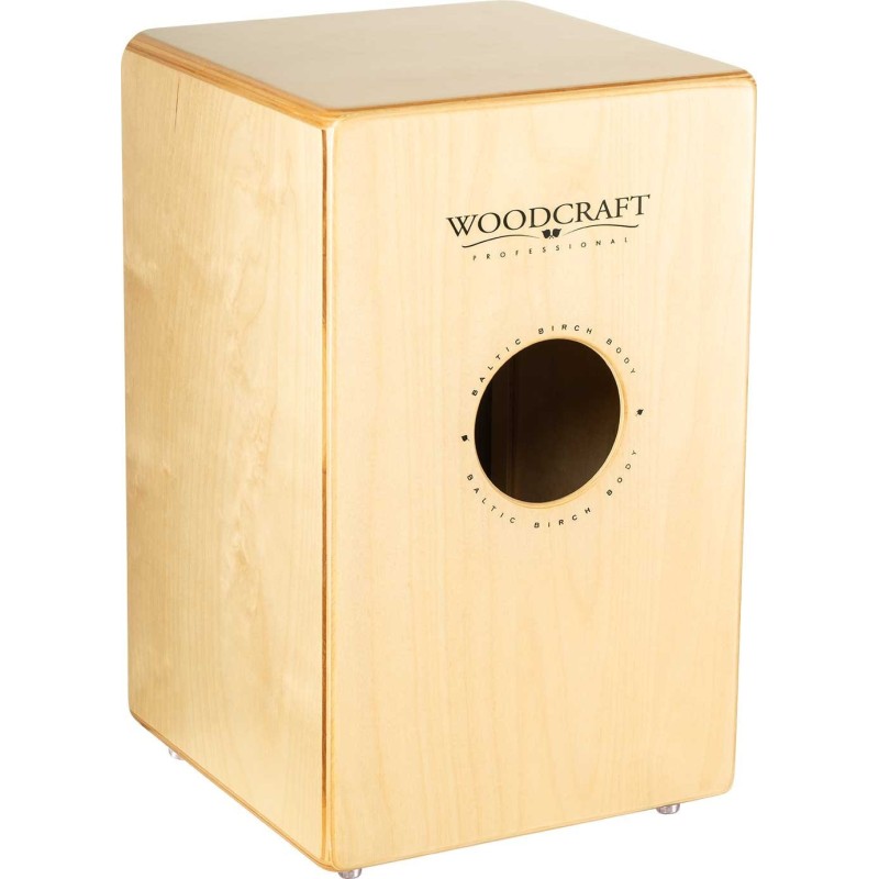 MEINL WCP100MH