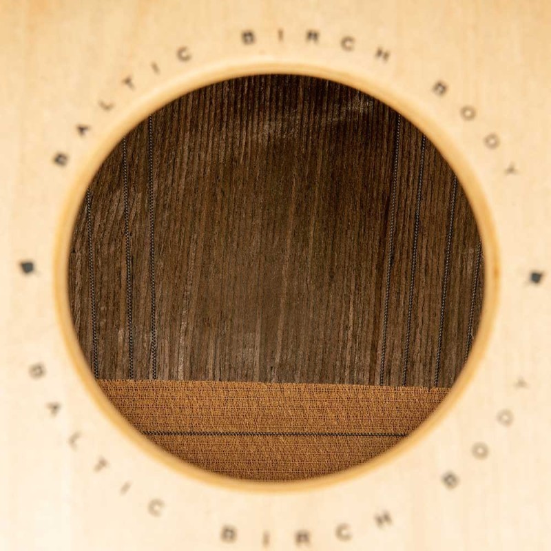 MEINL WCP100MH