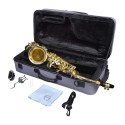 GRASSI GR AS20SK Sassofono Contralto, Student Kit