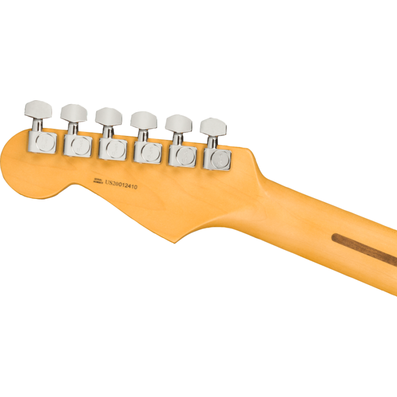 FENDER Stratocaster American Professional II Dark Night - vai con la sigla