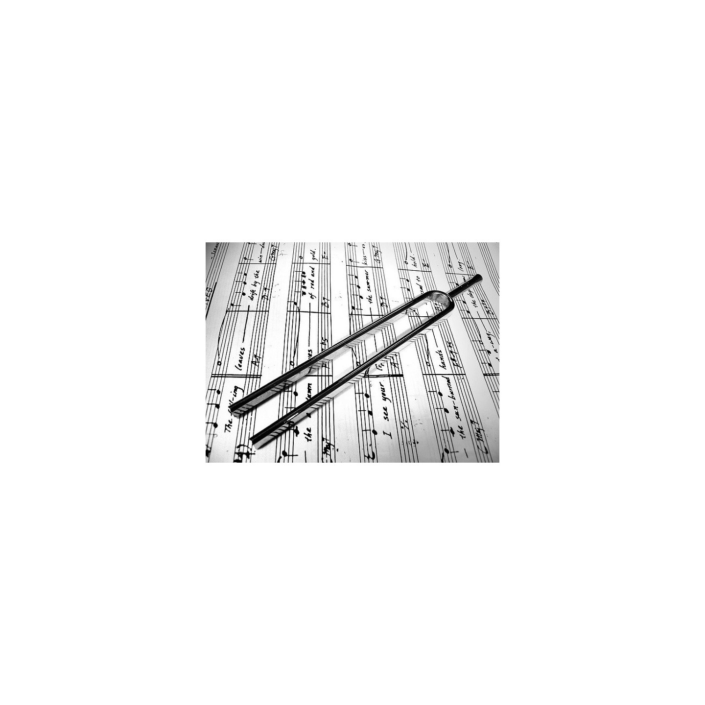 W.A. Mozart: Oboe Concerto In C K.314 (Oboe & Piano) - vai con la sigla