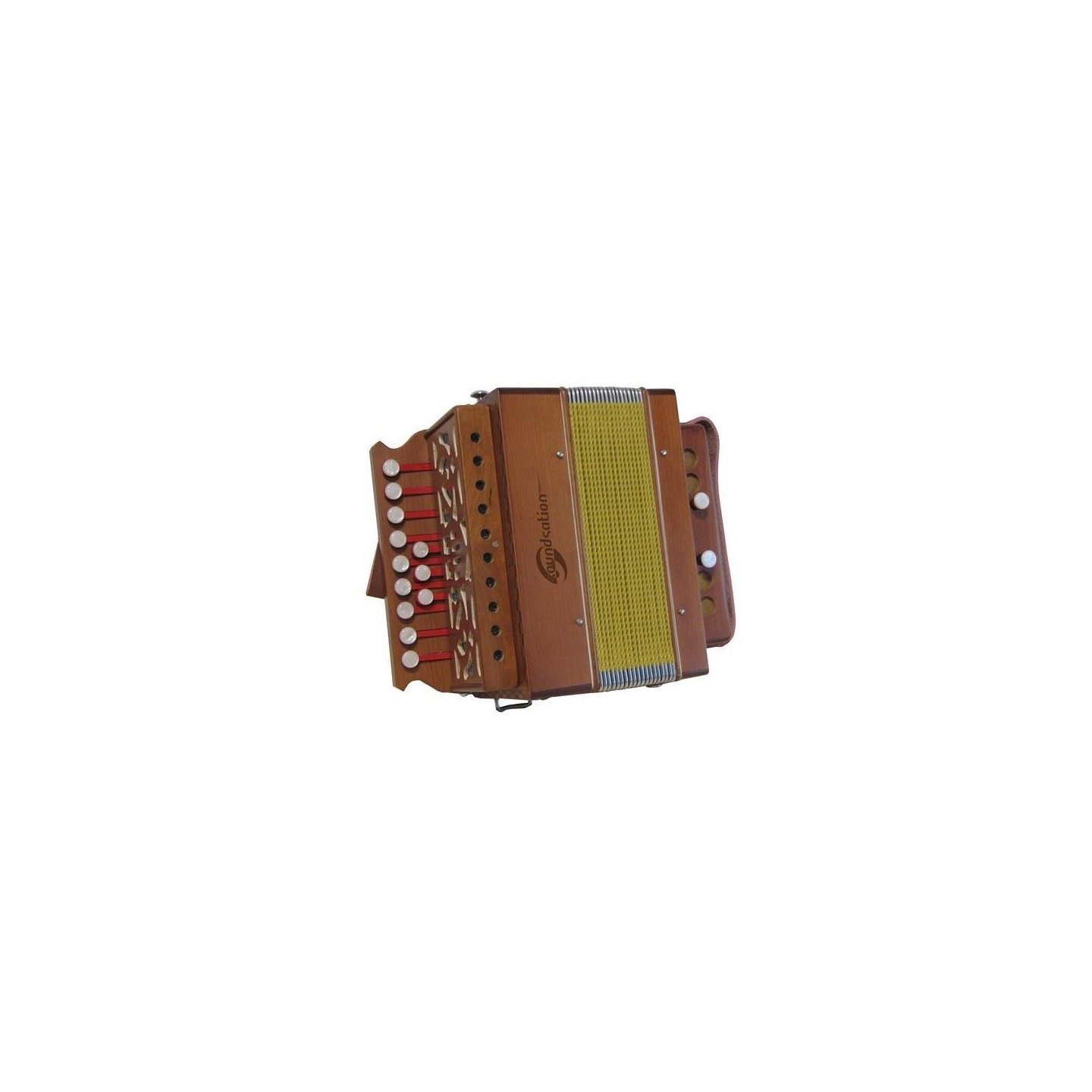 ORGANETTO SOUNDSATION SAC-1202C-WD LEGNO IN DO