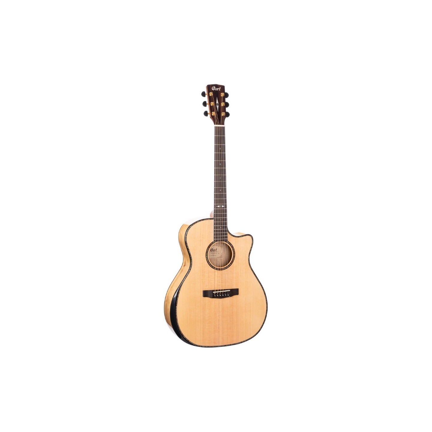 CORT GA-MY Bevel natural - vai con la sigla