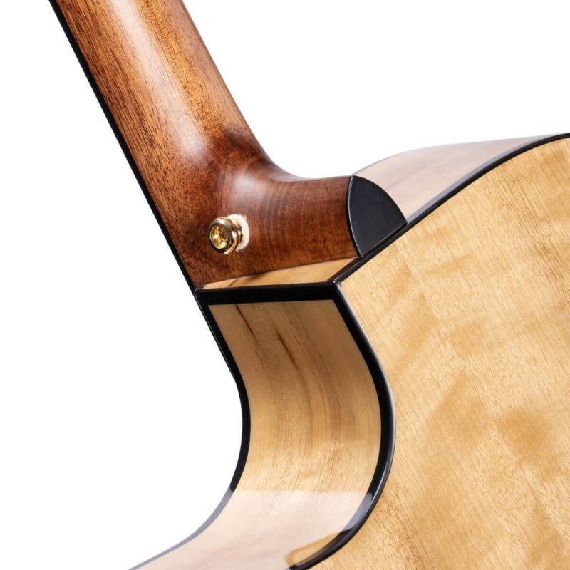 CORT GA-MY Bevel natural - vai con la sigla