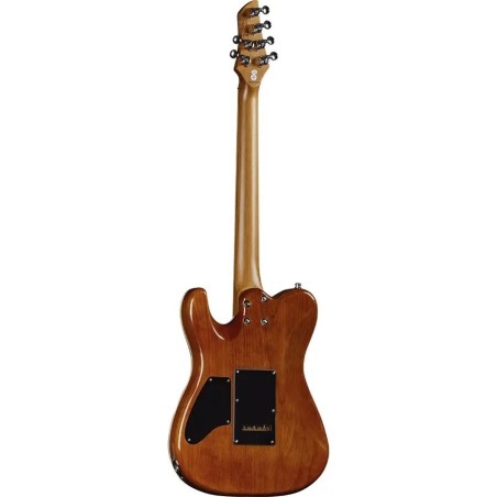 Eko Guitars Tero 801 Musa Grey Flamed - vai con la sigla
