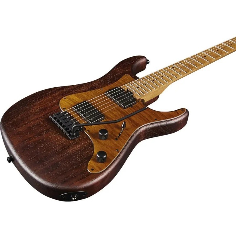 Eko Guitars Fire 701 Wildwood - vai con la sigla