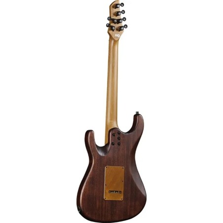 Eko Guitars Fire 701 Wildwood - vai con la sigla