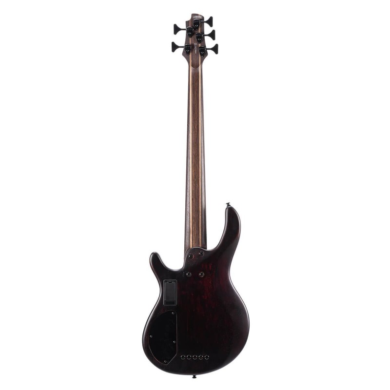 CORT B5 ELEMENT OPTB