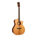 CORT GOLD-A10 NAT W/CASE