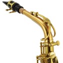 JUPITER ITALIA STELLAR JASSTRQ