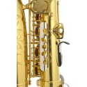 JUPITER ITALIA STELLAR JASSTRQ