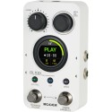 MOOER GL100