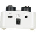MOOER GL100