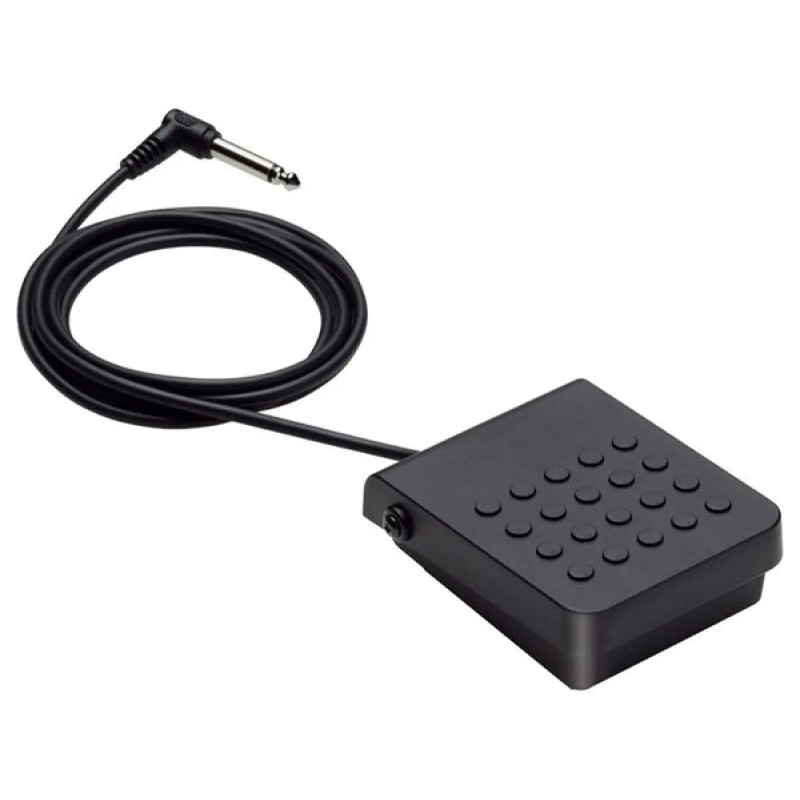 CASIO SP-3 Sustain Pedal - vai con la sigla