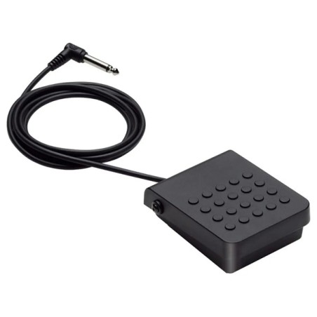 CASIO SP-3 Sustain Pedal - vai con la sigla