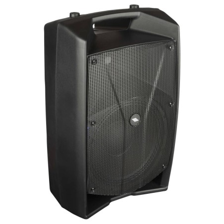 PROEL Diffusore Amplificato con DSP V12PRO