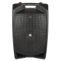 PROEL Diffusore Amplificato con DSP V12PRO
