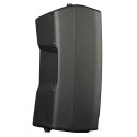 PROEL Diffusore Amplificato con DSP V12PRO
