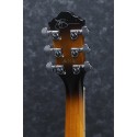 IBANEZ JSA5 VB,  Joe Satriani - vai con la sigla