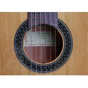 ALHAMBRA 1 C HT (Hybrid Terra) chitarra classica spagnola con custodia - vai con la sigla