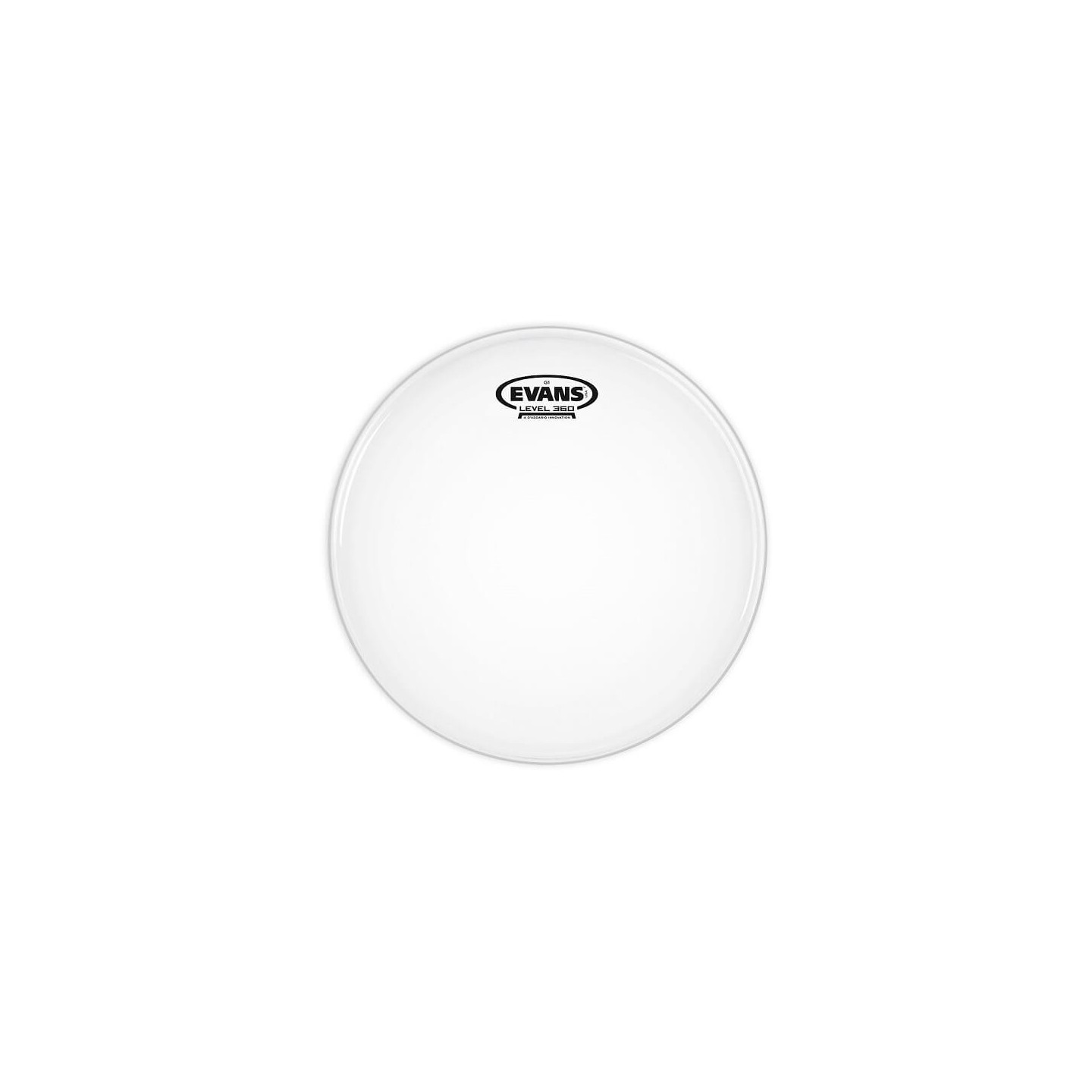 EVANS B16G1 16" COATED - vai con la sigla