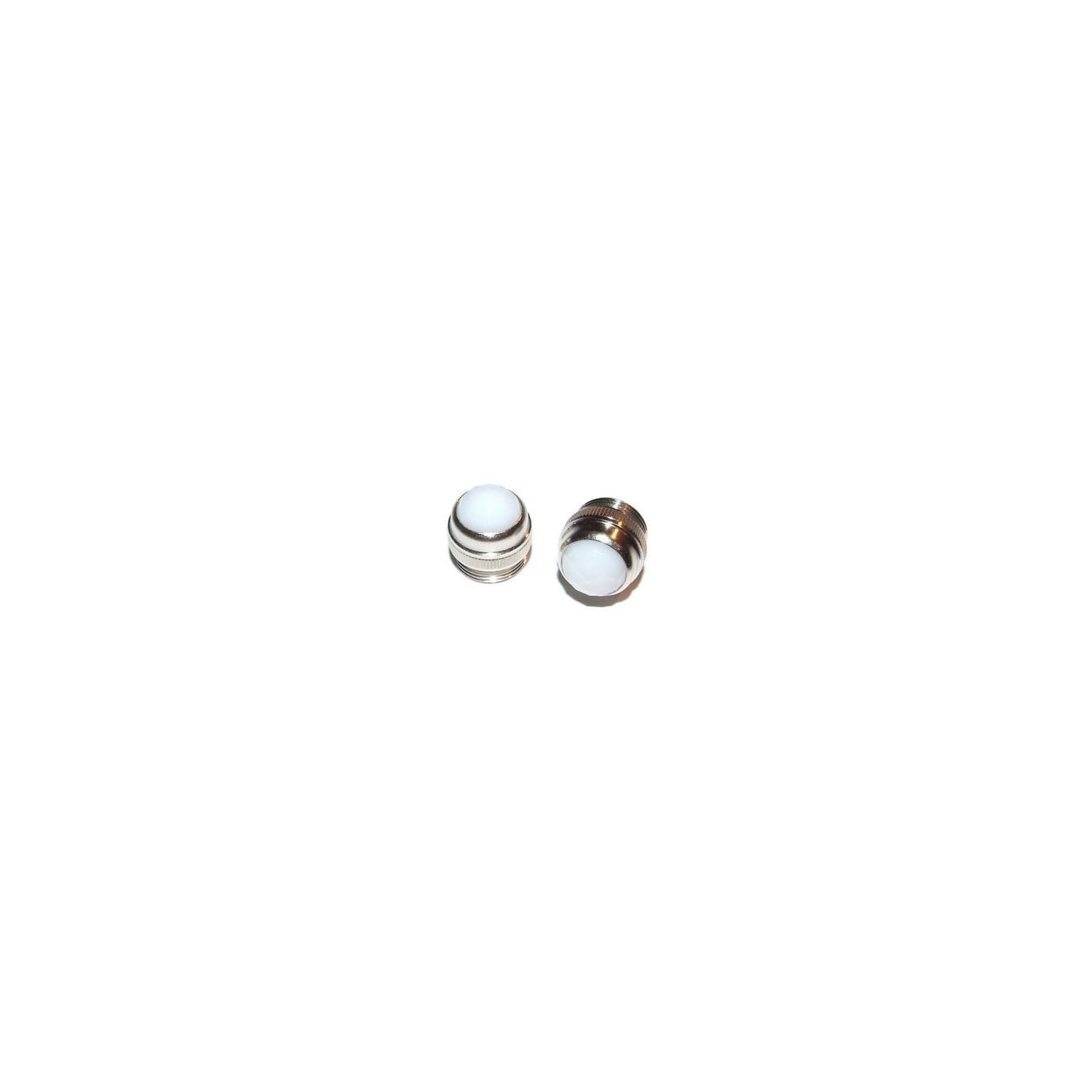 FENDER Amplifier White Jewel - vai con la sigla