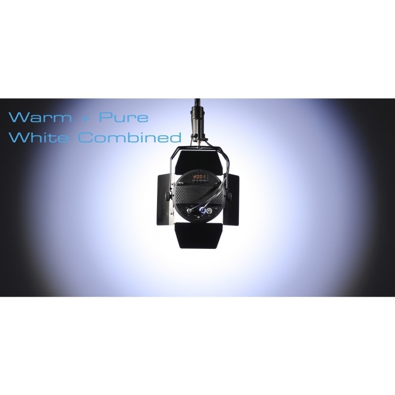 PAR CENTOLIGHT SCENIC W2001 1*200W WW+CW - 60° CON ALETTE - vaiconlasigla
