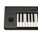 TASTIERA ARRANGER MEDELI AKX10 - vaiconlasigla