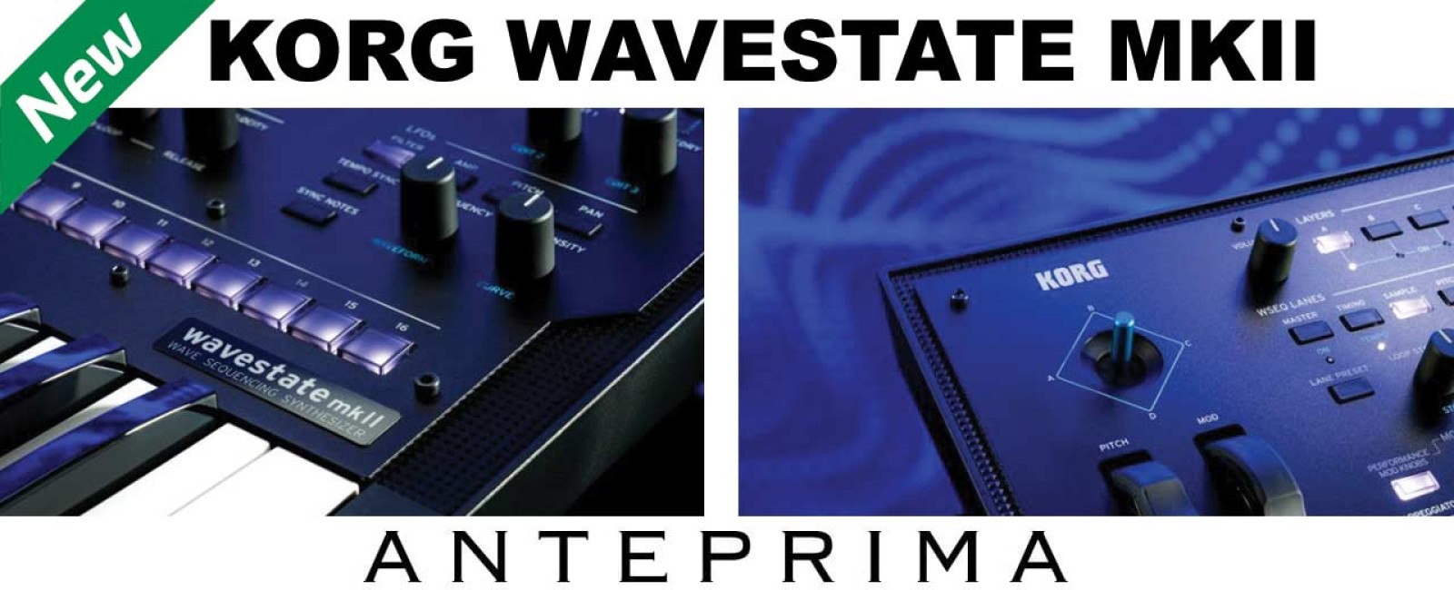 KORG Annuncia WAVESTATE MKII